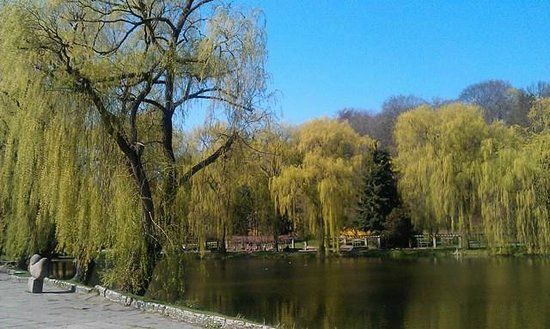 Spacery po Gdańskim Starym Mieście